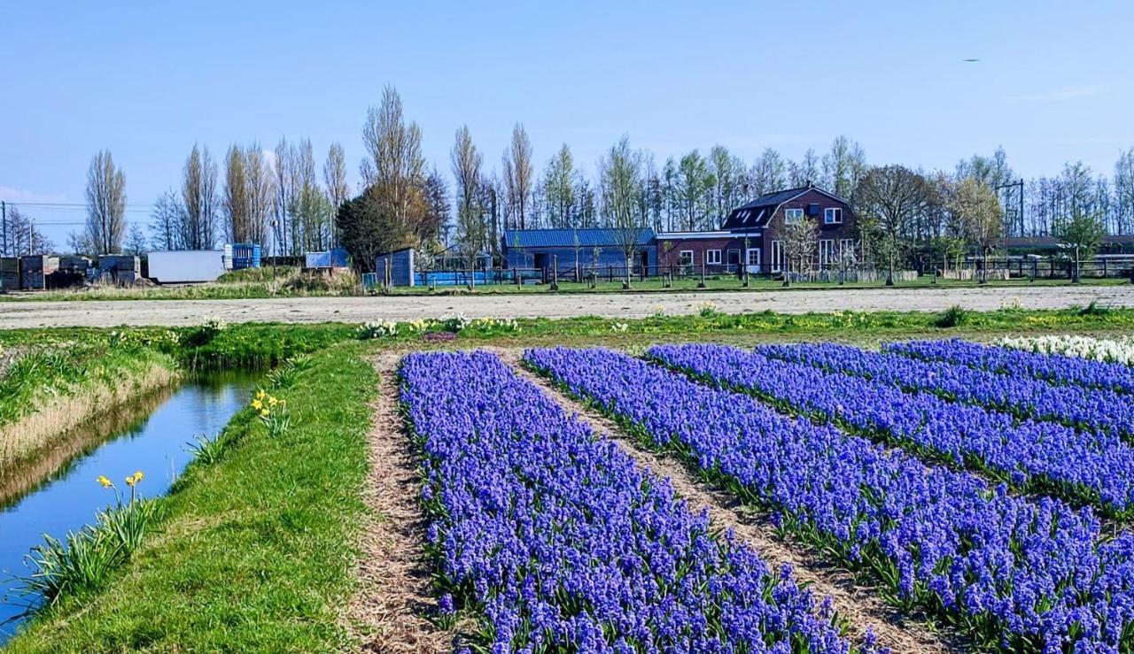 Het Dijkstuk Villa Noordwijkerhout Exteriör bild