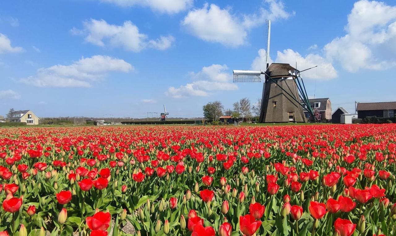 Het Dijkstuk Villa Noordwijkerhout Exteriör bild